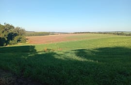 Empresario reclama por inacción de la justicia ante supuestas amenazas que recibió en un caso de invasión de tierras