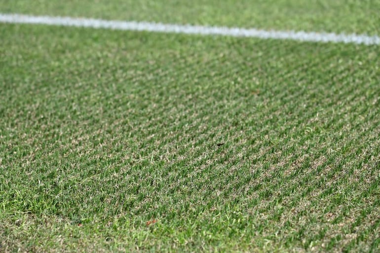 El césped híbrido en la Cancha 4 que inauguró la Asociación Paraguaya de Fútbol en el Centro de Alto Rendimiento Deportivo Óscar Harrison.