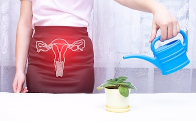 Qué es el síndrome genitourinario de la menopausia.