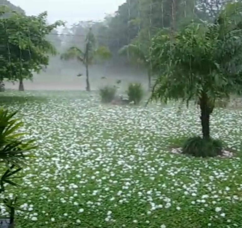 Paisaje de granizo cubriendo césped verde, ambiente deshabitado con árboles en un día lluvioso.