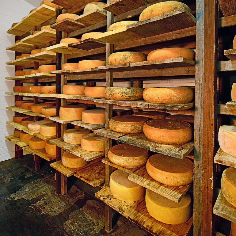 US$ 30 millones que se van: el negocio del queso gourmet que no aprovechamos