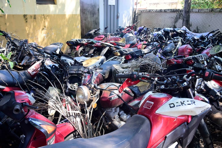 Motocicletas en abandono apiladas en un espacio reducido, cubiertas de hojas secas y suciedad, rodeadas de vegetación.