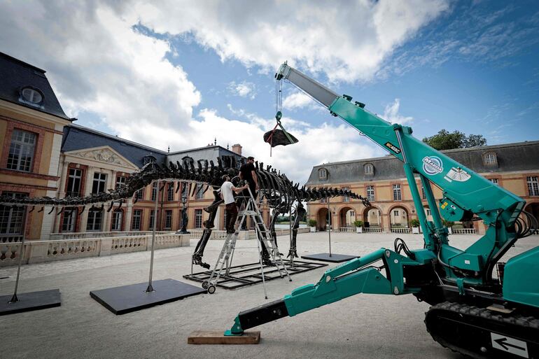 El esqueleto de dinosaurio Apatosaurus bautizado "Vulcain", expuesto frente al castillo Dampierre antes de una subasta que se realizará en Dampierre-en-Yvelines, al sur de París.
