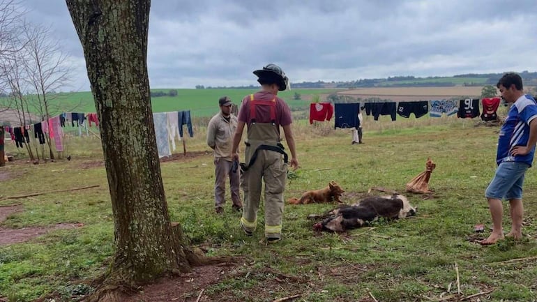 Tres hombres en ropa de trabajo observan un animal muerto en un campo verde, con ambiente nublado de fondo.