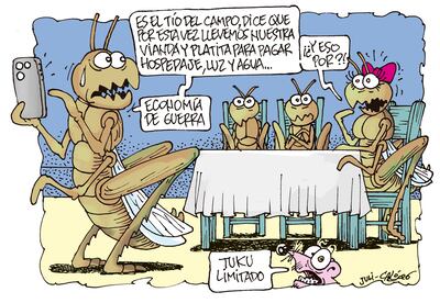 PEDIDO