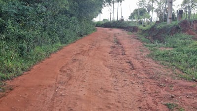 Camino de tierra en zona rural rodeado de vegetación, en mal estado y marcado por surcos de agua.