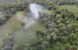 Los agentes antidrogas eliminaron 12 hectáreas de la reserva privada.