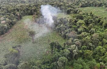 Los agentes antidrogas eliminaron 12 hectáreas de la reserva privada.
