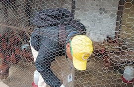 Funcionarios del Senepa detectaron seis casos sospechosos de dengue en Cordillera e iniciaron trabajos de bloqueo preventivo en Caacupé.
