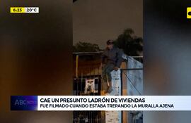 Video: Cae un presunto ladrón de viviendas