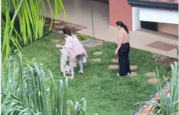 Video: investigan maltrato a un perro dentro de un “centro de bienestar”