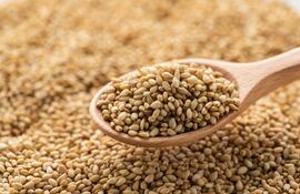 Sésamo: ingresos por US$ 46 millones con alcance a 35 mercados