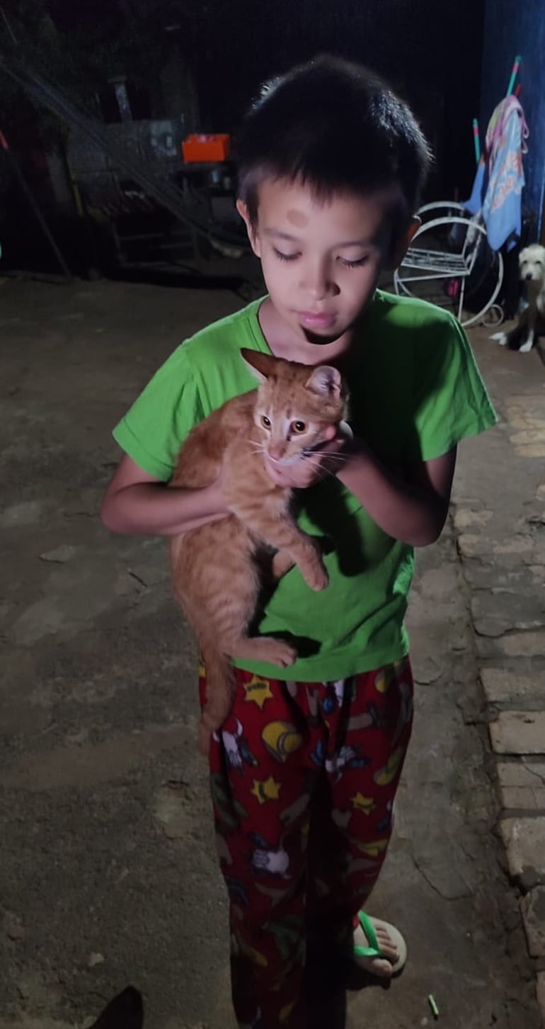 Niño dueño de la gata disfruta del regreso de Sol.