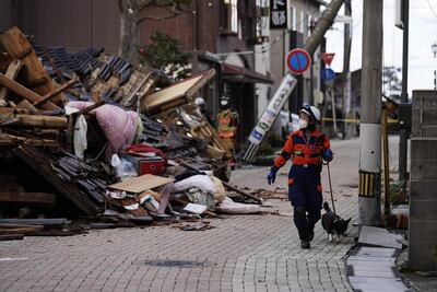 Una rescatista con un perro trabajan en la búsqueda de personas desaparecidas luego del terremoto en Wajima.