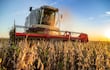 Produccion y cosecha de soja en el Chaco. Foto: Istock. Para Shell Suplementos Comerciales. 11-09-2025