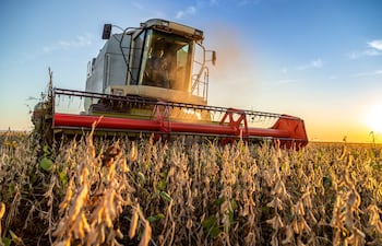 Produccion y cosecha de soja en el Chaco. Foto: Istock. Para Shell Suplementos Comerciales. 11-09-2025