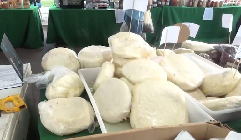 Variedad de quesos expuestos sobre mesas con manteles verdes en un mercado animado, sin personas visibles en la imagen.