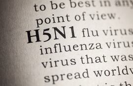 H5N1, virus gripe aviar. Imagen ilustrativa.