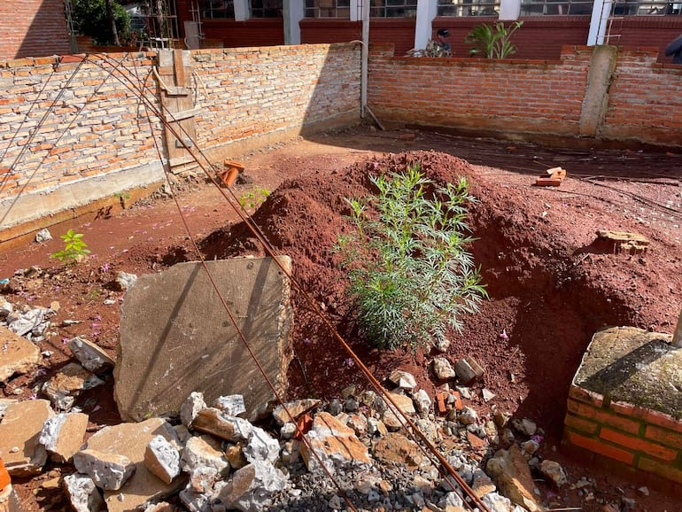 Terreno en construcción con escombros y tierra roja, sin personas visibles y con una planta verde emergiendo del suelo.