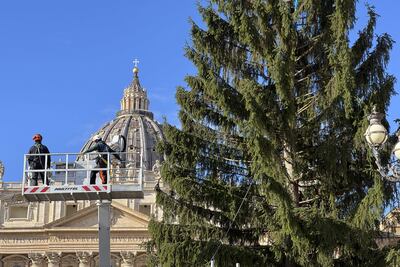 Un gran abeto de 27 metros de altura procedente del norte de Italia quedó instalado este jueves en la Plaza de San Pedro del Vaticano para ser decorado como árbol de Navidad, en el inicio de los preparativos de las próximas fiestas.