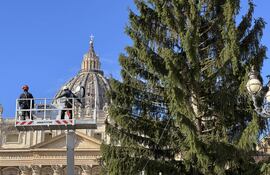 Un gran abeto de 27 metros de altura procedente del norte de Italia quedó instalado este jueves en la Plaza de San Pedro del Vaticano para ser decorado como árbol de Navidad, en el inicio de los preparativos de las próximas fiestas.