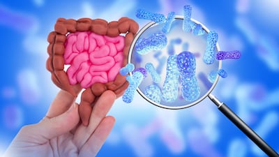 Microbiota y peso: relación entre las bacterias de tu intestino y la facilidad para quemar grasa.