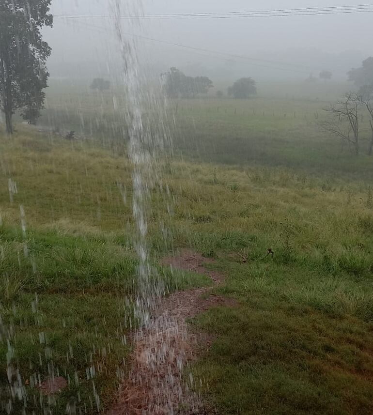 El fenómeno climático "El Niño" ocasiona aumento de lluvias en el Paraguay y eso beneficia a la producción agropecuaria.