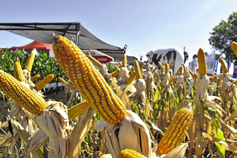 Agro Show Copronar se lució