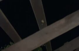 Fuerte temporal deja importantes daños en San Pedro