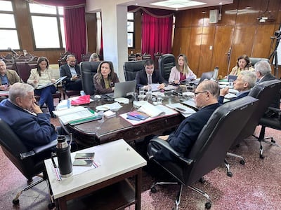 Bettina Albertini presenta ante un grupo de hombres en traje, todos atentos, en una sala de conferencias formal.