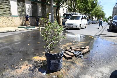 Un balde con un arbolito y una fila de ladrillos fueron colocados por vecinos para tapar un caño roto en un bache, sobre la calle Don Bosco de Asunción.
