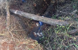 Planta y vegetación rodean la escena del crimen en San Alberto, donde se observa una persona cerca del lugar.