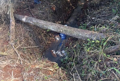 Planta y vegetación rodean la escena del crimen en San Alberto, donde se observa una persona cerca del lugar.