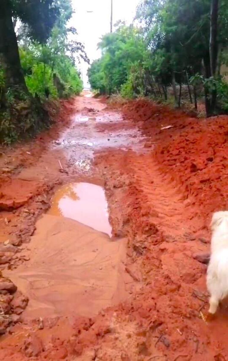 En el barrio Virgen de los Remedios buscan calles alternativas para desplazarse ante las desastrosas condiciones en las que se encuentra la calle de la zona.