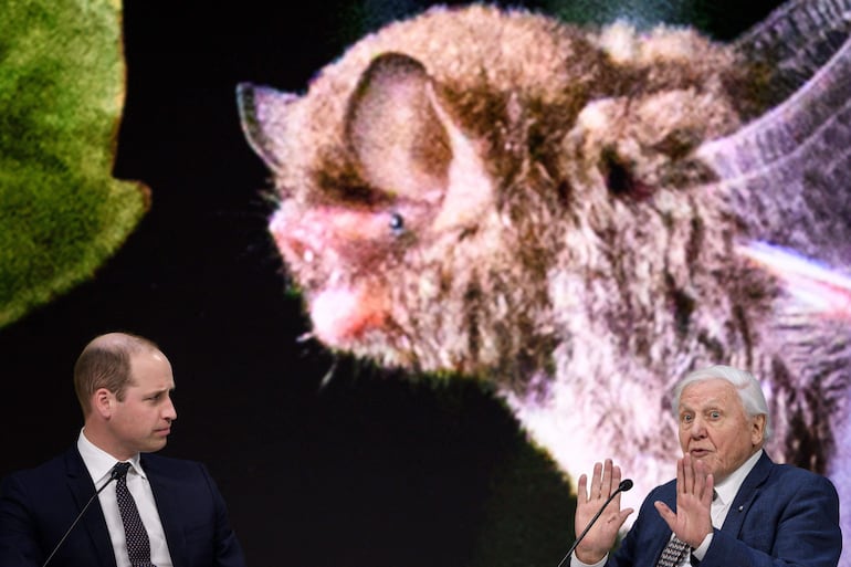 El príncipe William de Gran Bretaña, duque de Cambridge (izq.), y el divulgador y biólogo británico David Attenborough participan en una conversación durante la reunión anual del World Economic Forum (WEF), el 22 de enero de 2019 en Davos, en el este de Suiza.