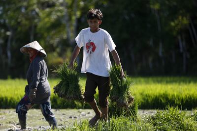 Con tan solo 11 años, Jacqueline Aguilar se levantaba antes de las cuatro de la madrugada para ir al campo a limpiar lechuga en un pequeño pueblo de Colorado. La esperaban más de nueve horas de trabajo al sol con tan solo treinta minutos para comer.
