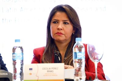 Cecilia Pérez fue cesada en sus funciones de ministra en la Misión Permanente de la República del Paraguay ante la Organización de Estados Americanos, junto a otros más de 80 funcionarios consulares y diplomáticos de designación política.