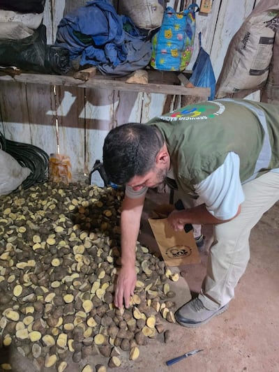 El jefe del Departamento del Senave, Ing. Jorge Torres, tomó muestras de papa para su análisis.
