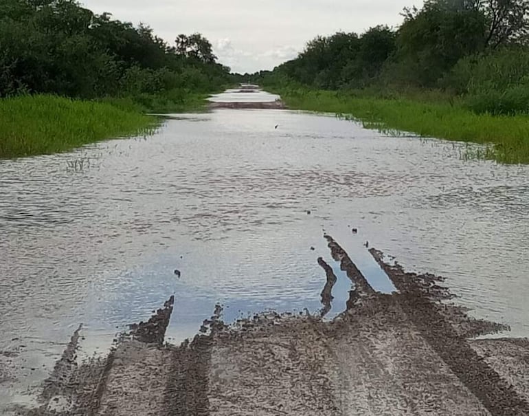 Camino inundado rodeado de vegetación, con agua estancada cubriendo la ruta y marcas de neumáticos en el barro.