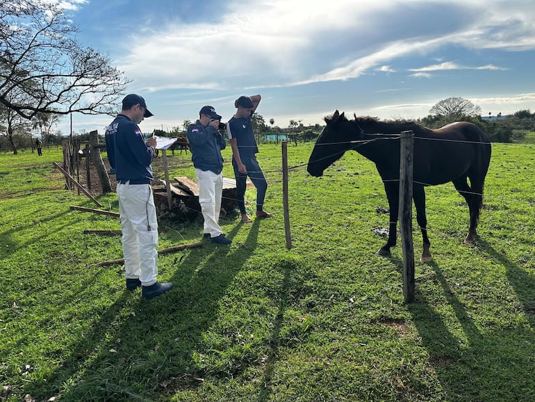 Los miembros de la comitiva policial también encontraron en potrero del barrio San Miguel, el caballo que estaba montando la víctima. 