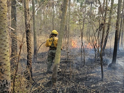 Un bombero de la SEN en pleno combate al fuego en la zona de Fuerte Olimpo.