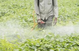 El uso de pesticidas en Brasil fue estudiado durante varios años.