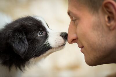 Mirada entre un perro y su humano.