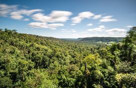 Reserva del bosque Mbaracayú