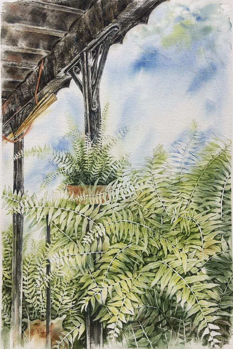 Acuarela que destaca helechos vibrantes en un porche, con tonos verdes y detalles artísticos que cautivan la atención.