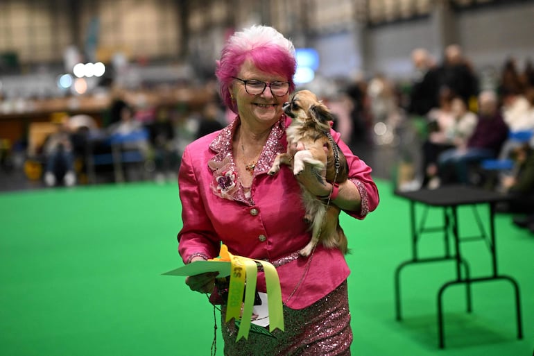 Una cuidadora lleva en brazos a su chihuahua de pelo largo en el tercer día del Crufts, la exposición canina, en el National Exhibition Centre de Birmingham, en el centro de Inglaterra, el 7 de marzo de 2026.