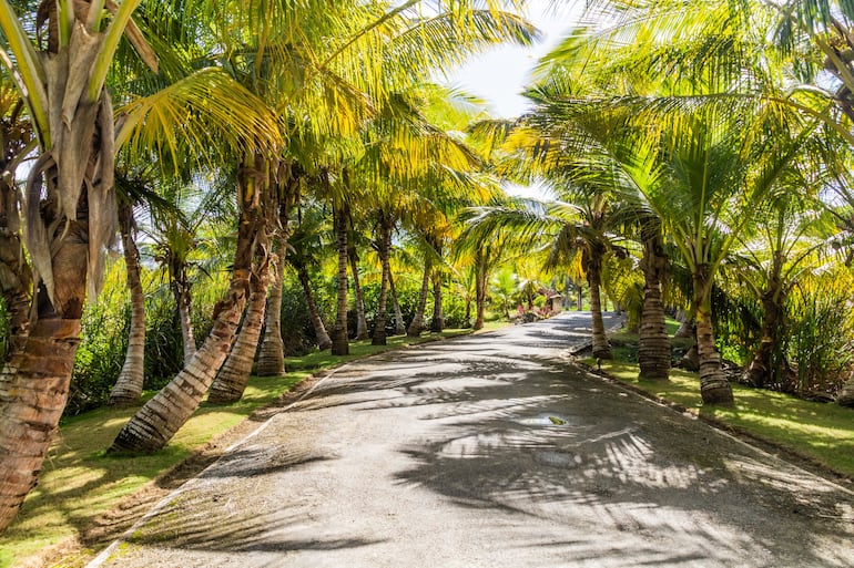 Las Terrenas, Samaná, República Dominicana.