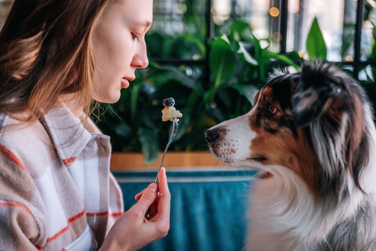 Concepto de "perrhijo".