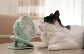 Un pequeño ventilador portátil