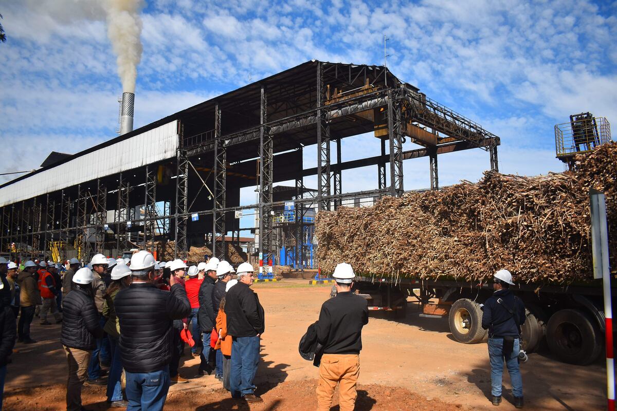 Planta alcoholera de Troche: la fábrica que pierde millones y desangra a Petropar